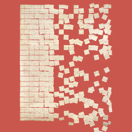 Constitution Fractionalized #242