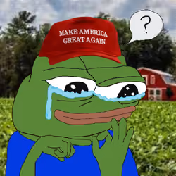 LofiPepe #2758