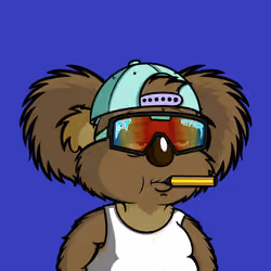 DropBear #5051