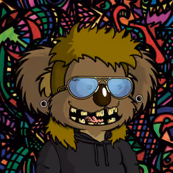 DropBear #6586