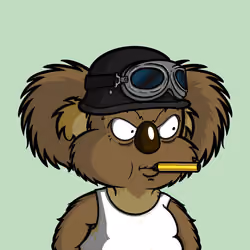 DropBear #2851