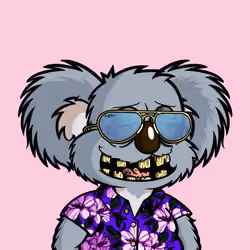 DropBear #9126