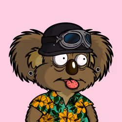 DropBear #45