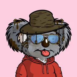DropBear #2373