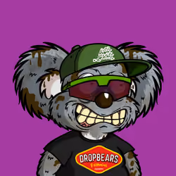 DropBear #9473