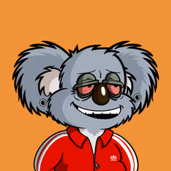 251