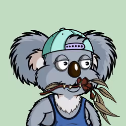 DropBear #8860