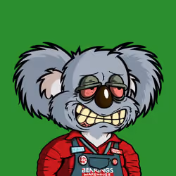 DropBear #7704