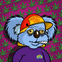 DropBear #3254