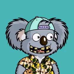 DropBear #6536