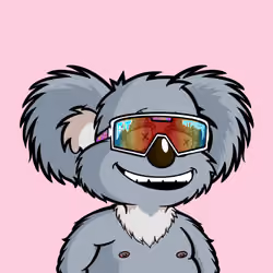 DropBear #9552