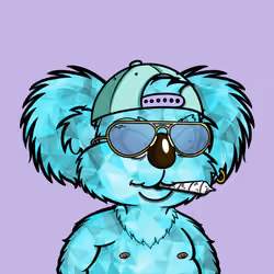 DropBear #7919