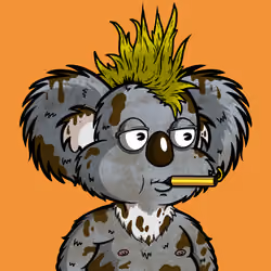 DropBear #8080
