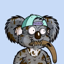 DropBear #1882