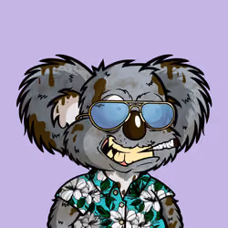 DropBear #3958