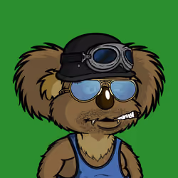 DropBear #9447