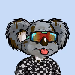 DropBear #5038