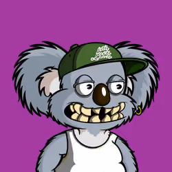 DropBear #5708