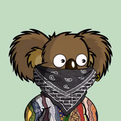 DropBear #256