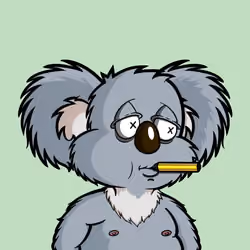 DropBear #6644
