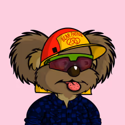 DropBear #6375