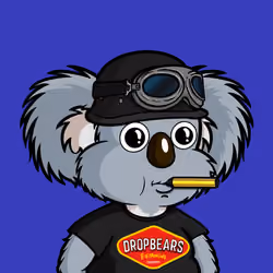 DropBear #2576