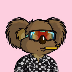 DropBear #6343