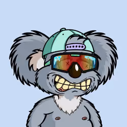 DropBear #9804
