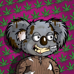 DropBear #8716