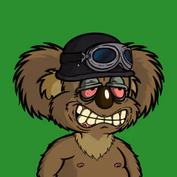 DropBear #77