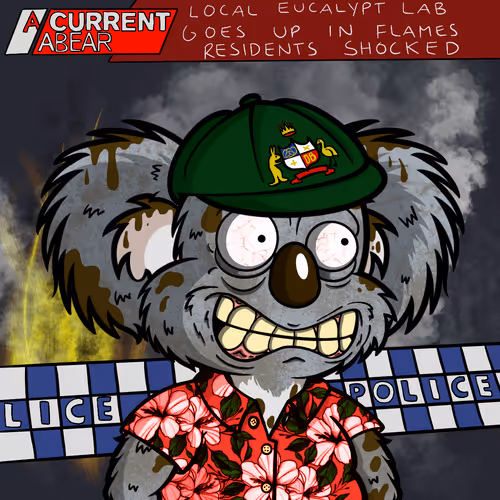 DropBear #9772