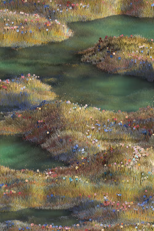 Item #996522323 Media