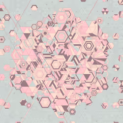 244