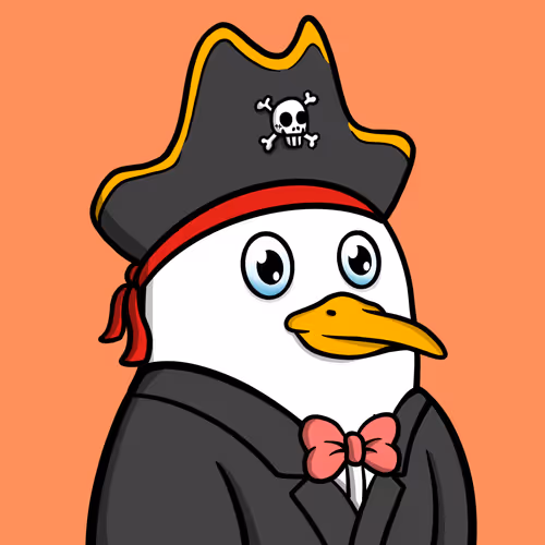 Savvyseagulls