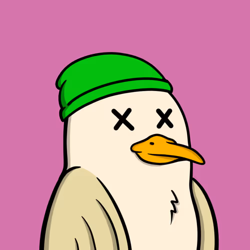 Savvyseagulls