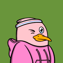 Savvy Seagulls #205