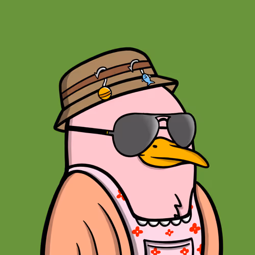 Savvyseagulls