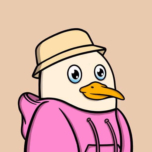 Savvyseagulls