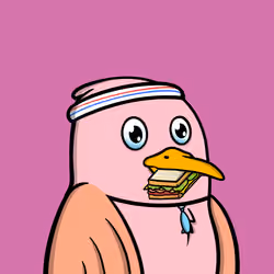 Savvy Seagulls #2058