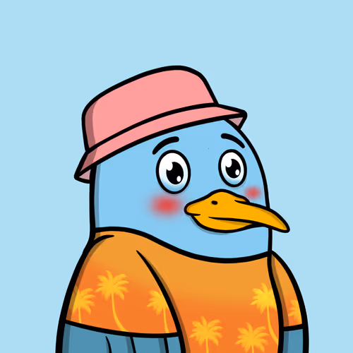 Savvyseagulls