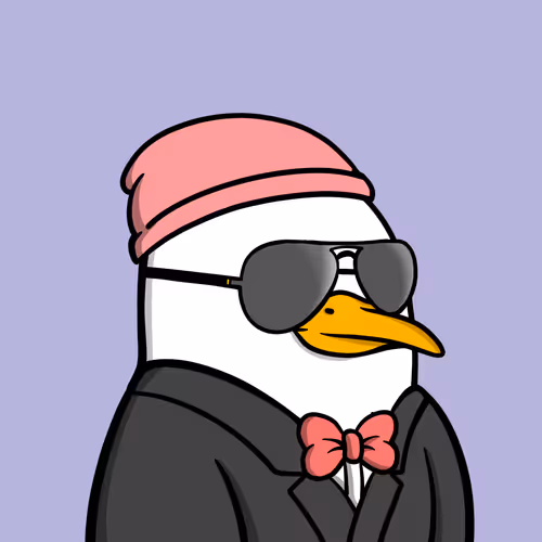 Savvyseagulls