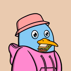 Savvy Seagulls #104