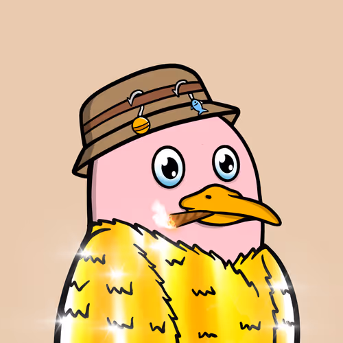 Savvyseagulls