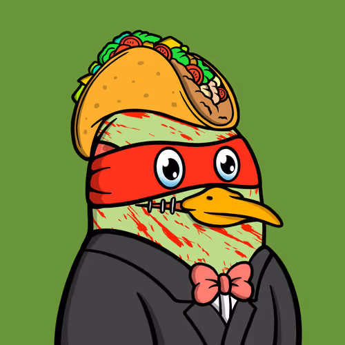 Savvyseagulls