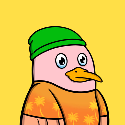 Savvyseagulls