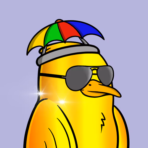 Savvyseagulls