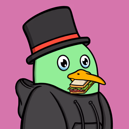 Savvyseagulls