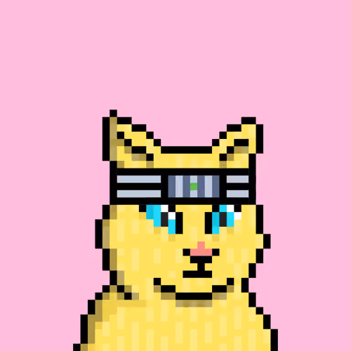 Cat #1865