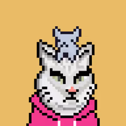 Cat #4620