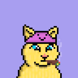 Cat #4619